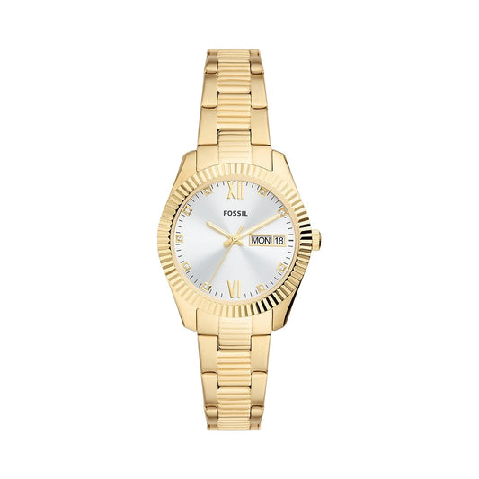 Fossil Scarlette