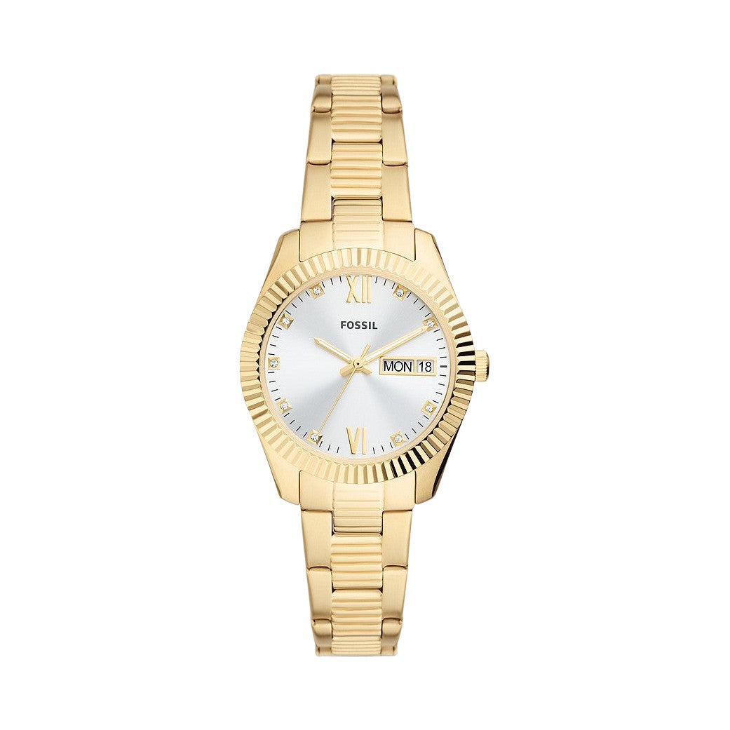 Fossil Scarlette