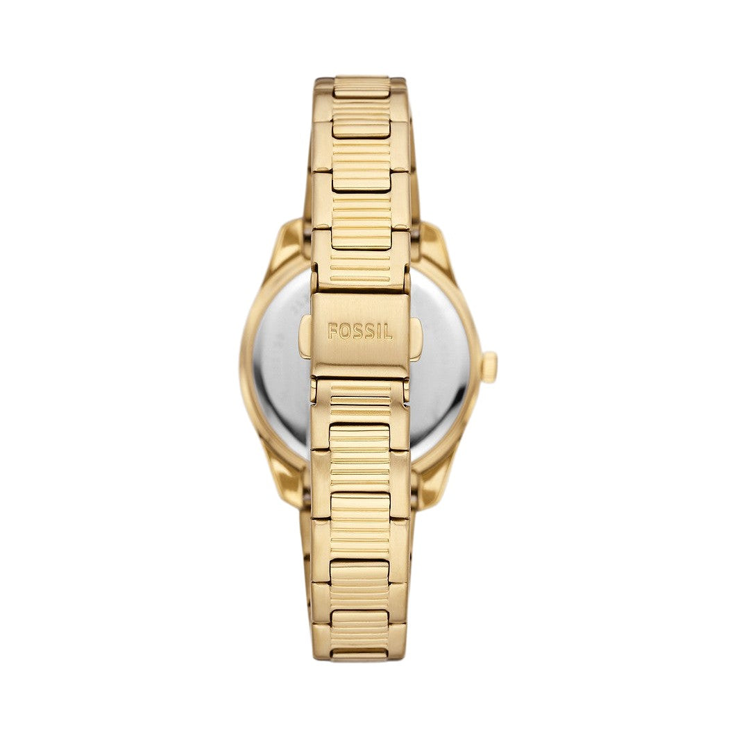 Fossil Scarlette