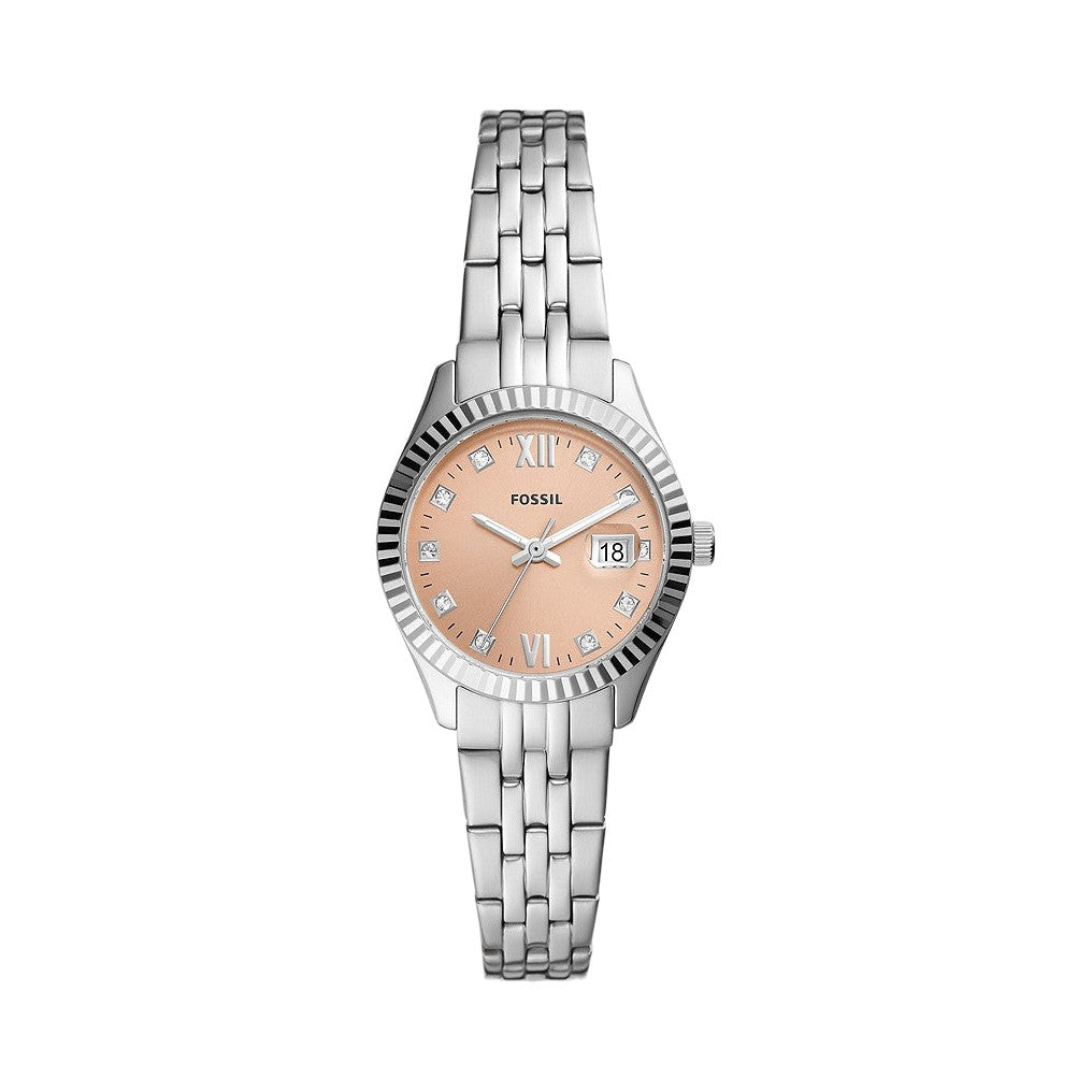 Fossil Scarlette