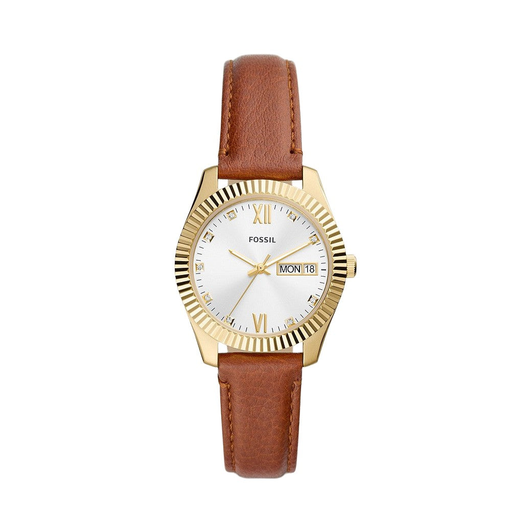 Fossil Scarlette