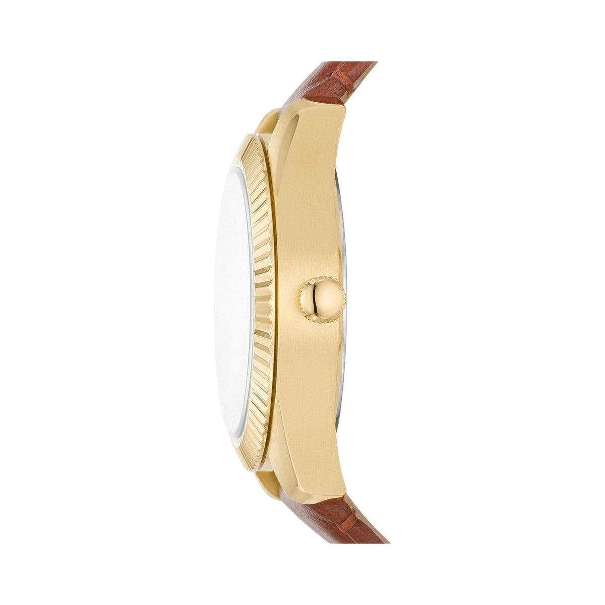 Fossil Scarlette
