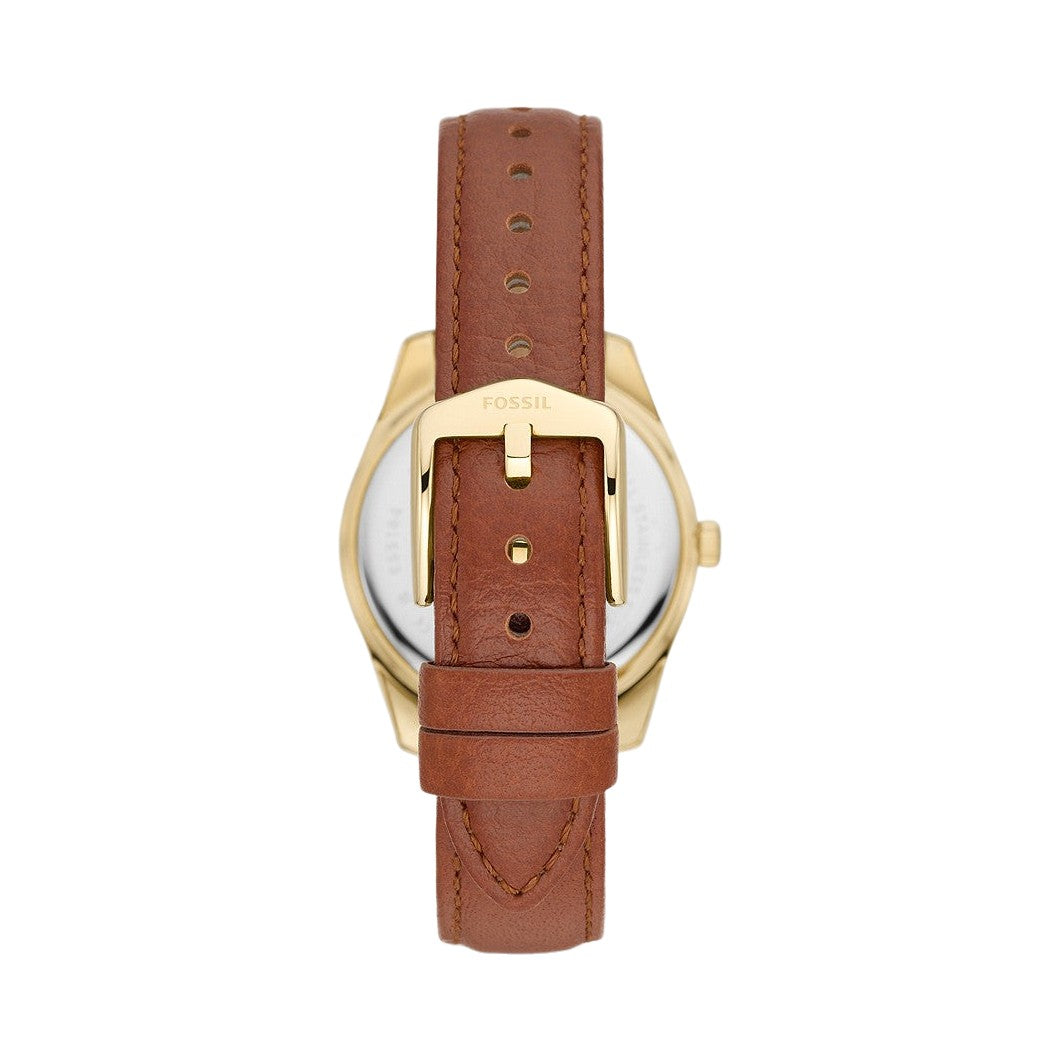 Fossil Scarlette