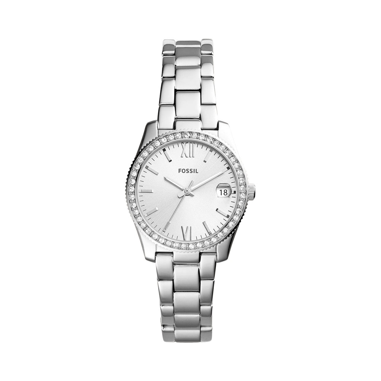 Fossil Scarlette