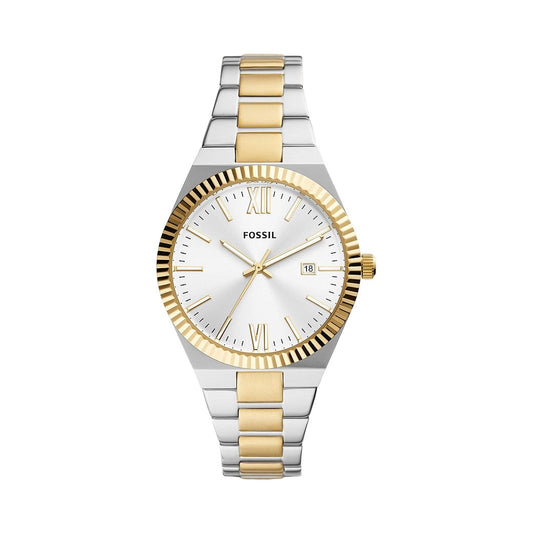 Fossil Scarlette