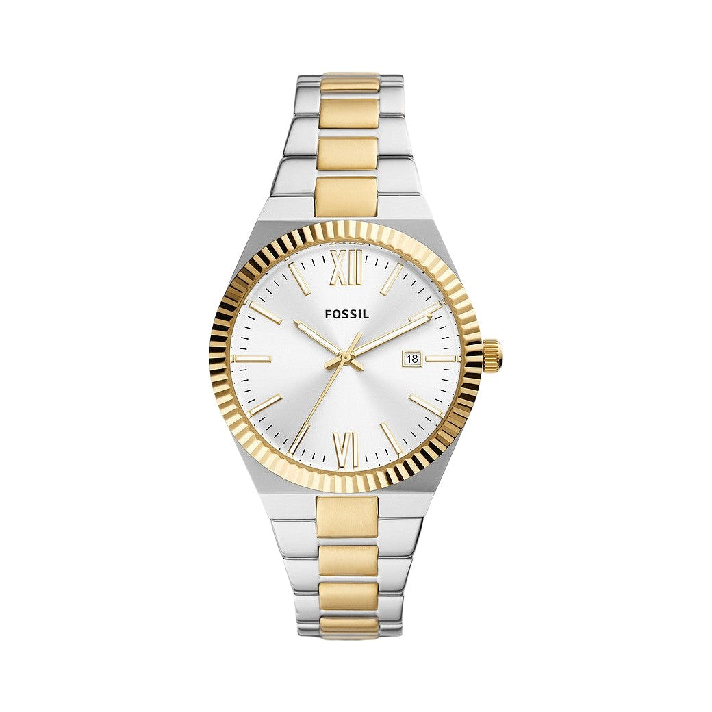 Fossil Scarlette