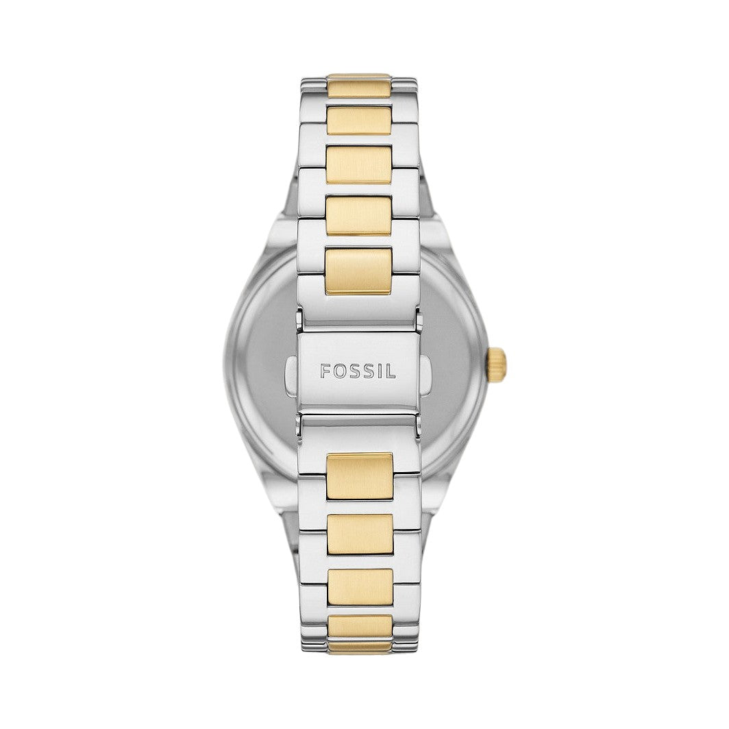 Fossil Scarlette
