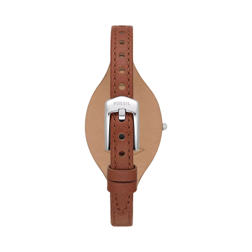 Fossil Carlie