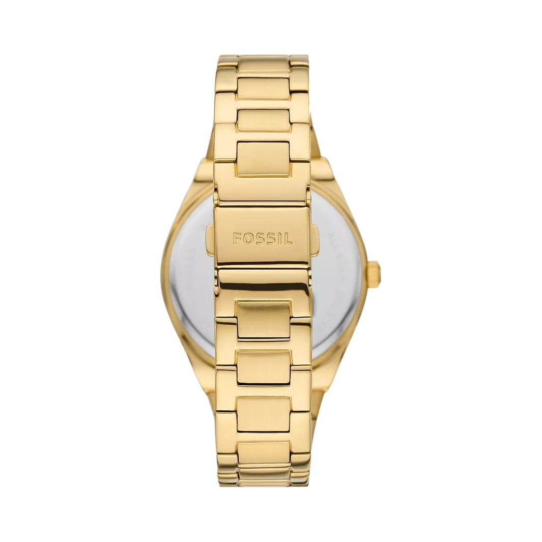Fossil Scarlette