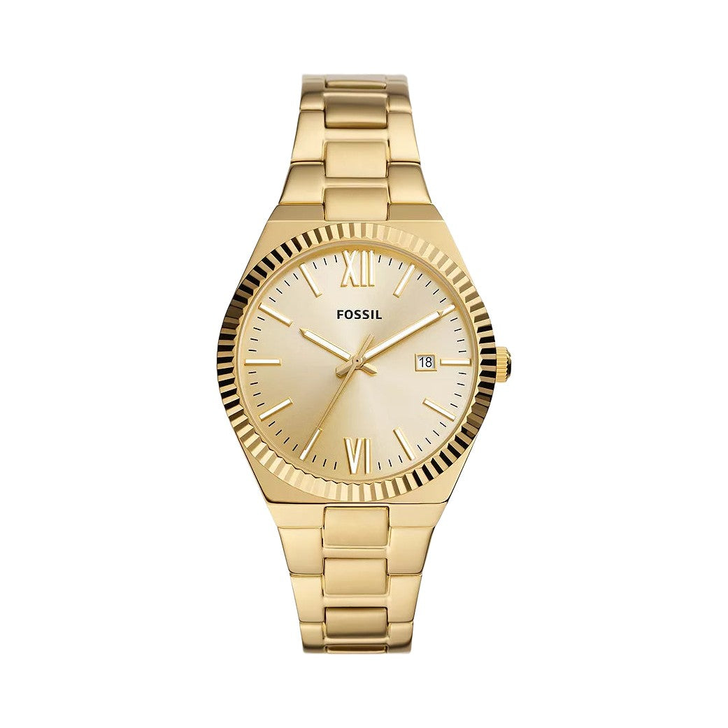 Fossil Scarlette
