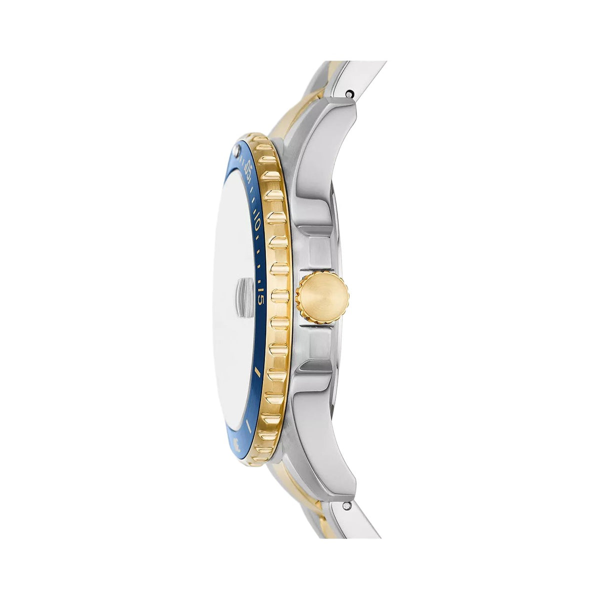 Fossil Blue