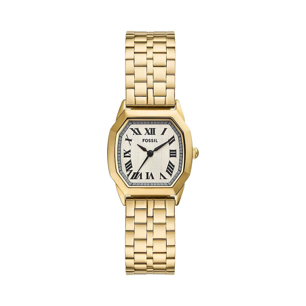 Fossil Harlow