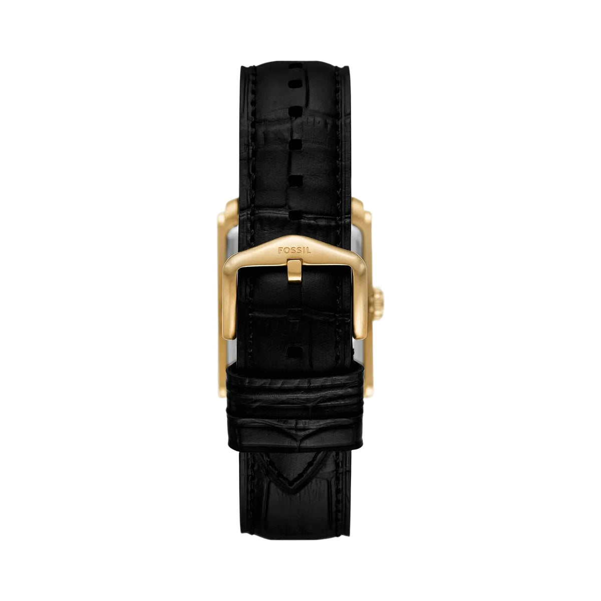 Fossil Carraway