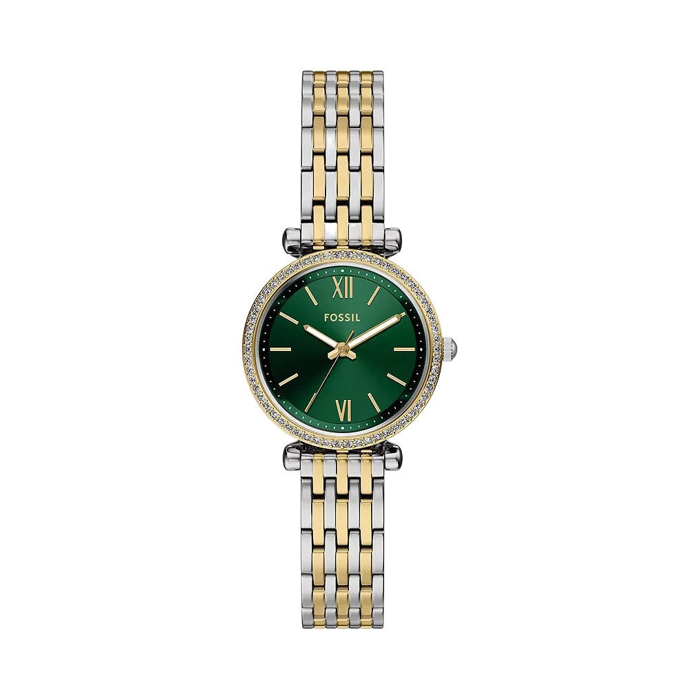 Fossil Carlie