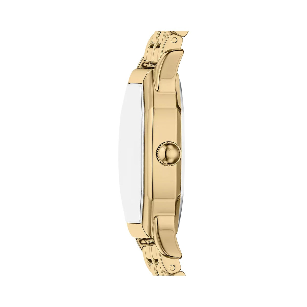 Fossil Harlow