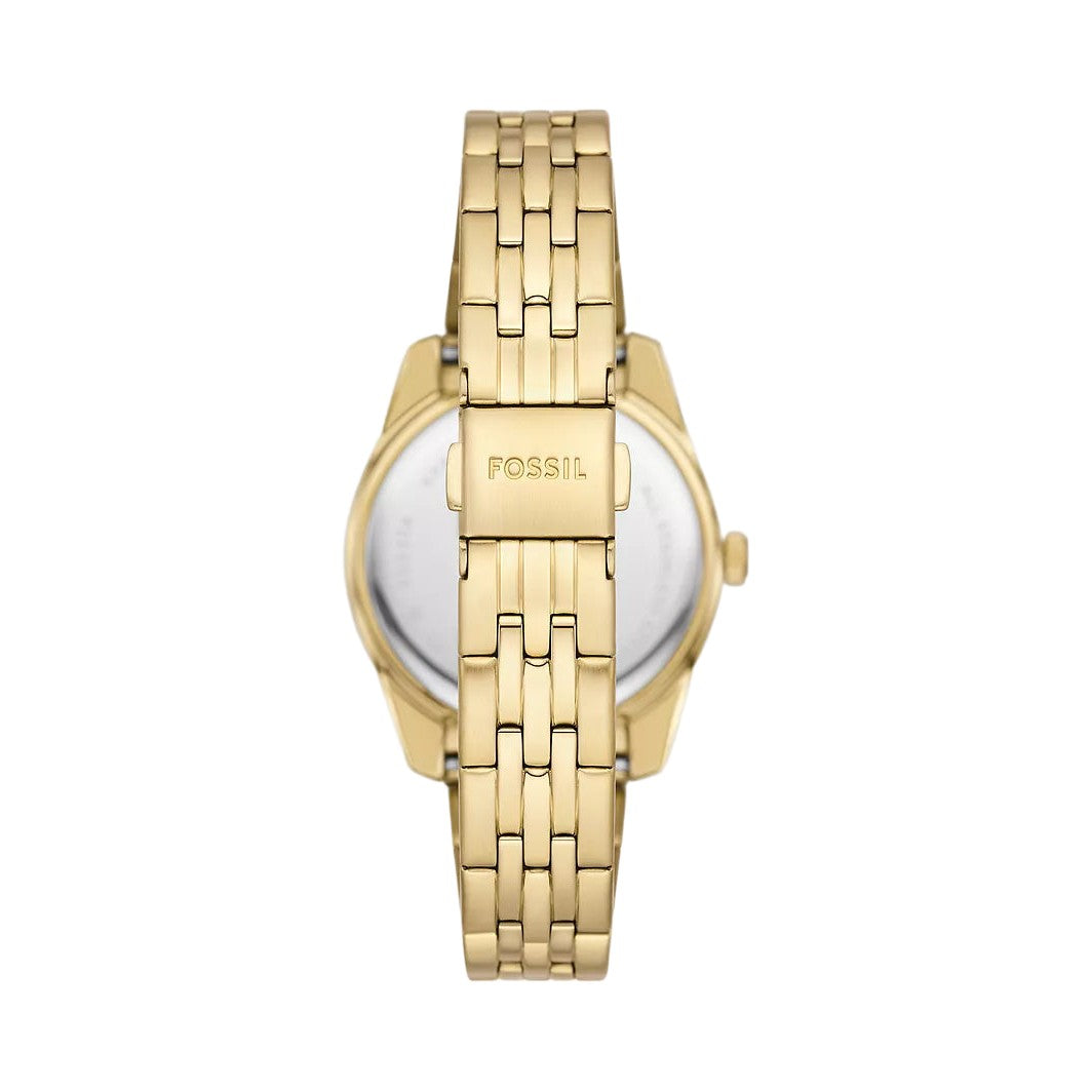 Fossil Scarlette