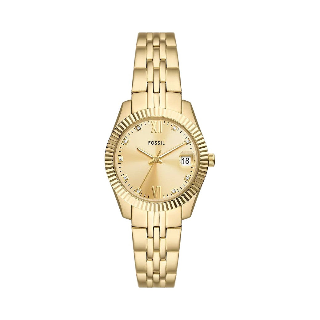 Fossil Scarlette