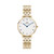 Daniel Wellington - Petite Roman Numerals 5-Link