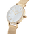 Daniel Wellington - Petite Lumine Bezel Evergold