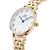Daniel Wellington - Petite Roman Numerals 5-Link