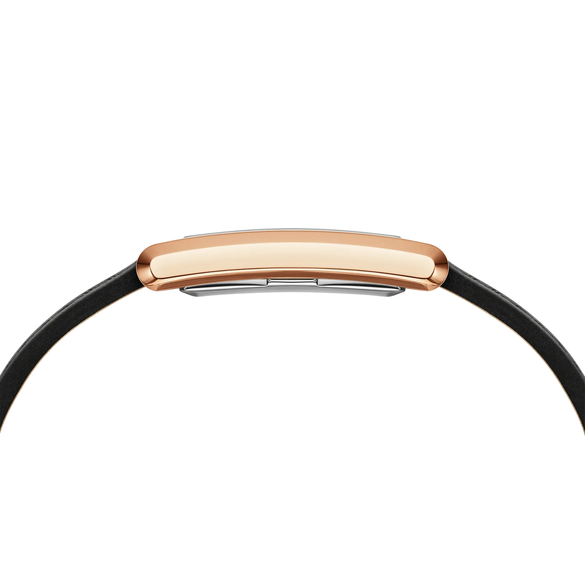 Daniel Wellington - Bound Black